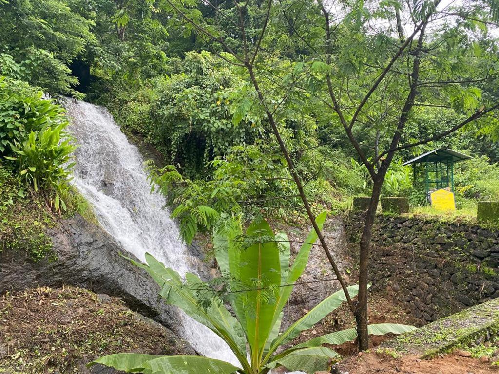 Earth Lounge Resort Vagamon Exteriér fotografie
